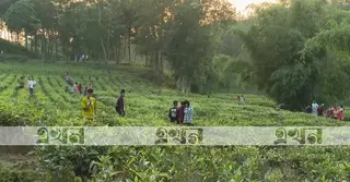 কর্মসংস্থান সৃষ্টি ও পর্যটন বাজেটে হতাশ সিলেটের ব্যবসায়ীরা